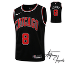 Regata NBA Chicago Bulls / Lavine