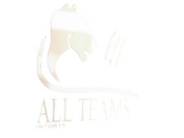 AllTeams Imports