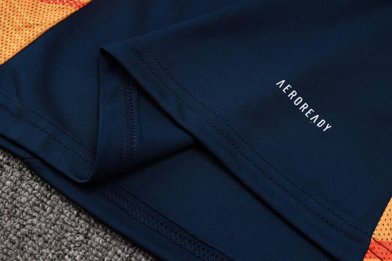 Conjunto Treino Juventus 24/25