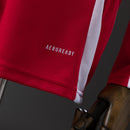 Camisa Manga Longa internacional 24/26 + Patchs Libertadores - Allteams Imports