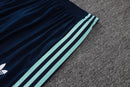 Conjunto de Treino de Inverno Alemanha 2026/27 Verde-Claro e Azul-Marinho