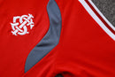 Conjunto de Treino de Inverno Internacional 2026/27 Vermelho e Cinza