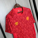 Camisa Torcedor Treino Fluminense 24/25 (Masculino)