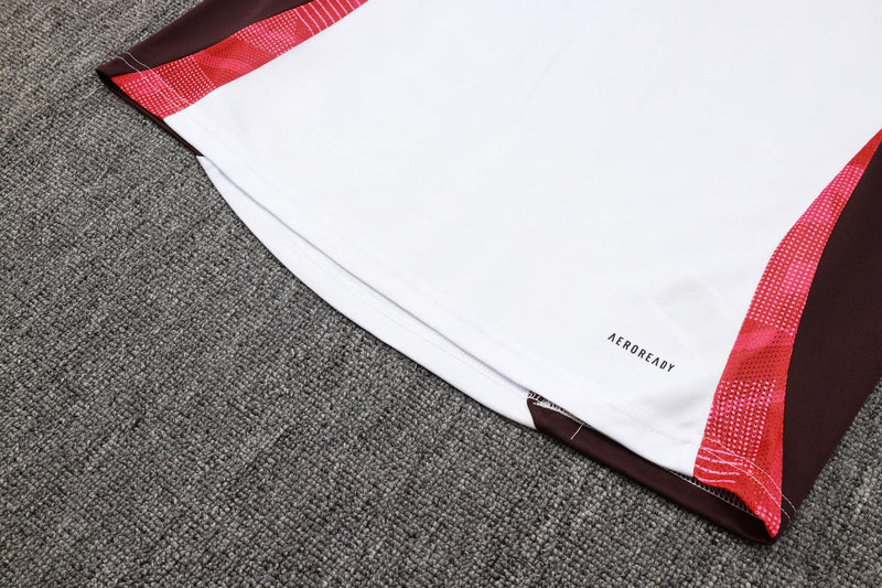 Conjunto Treino Bayern de Munique 24/25