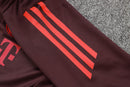 Conjunto Treino Bayern de Munique 24/25