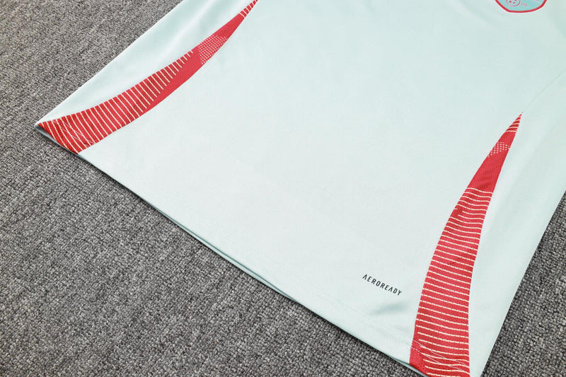 Conjunto Treino Seleção Espanha 24/25