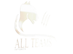 AllTeams Imports - Camisas de Futebol