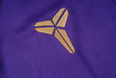 Conjunto de Treino de Inverno Barcelona 2026/27 Roxo e Preto com Dourado